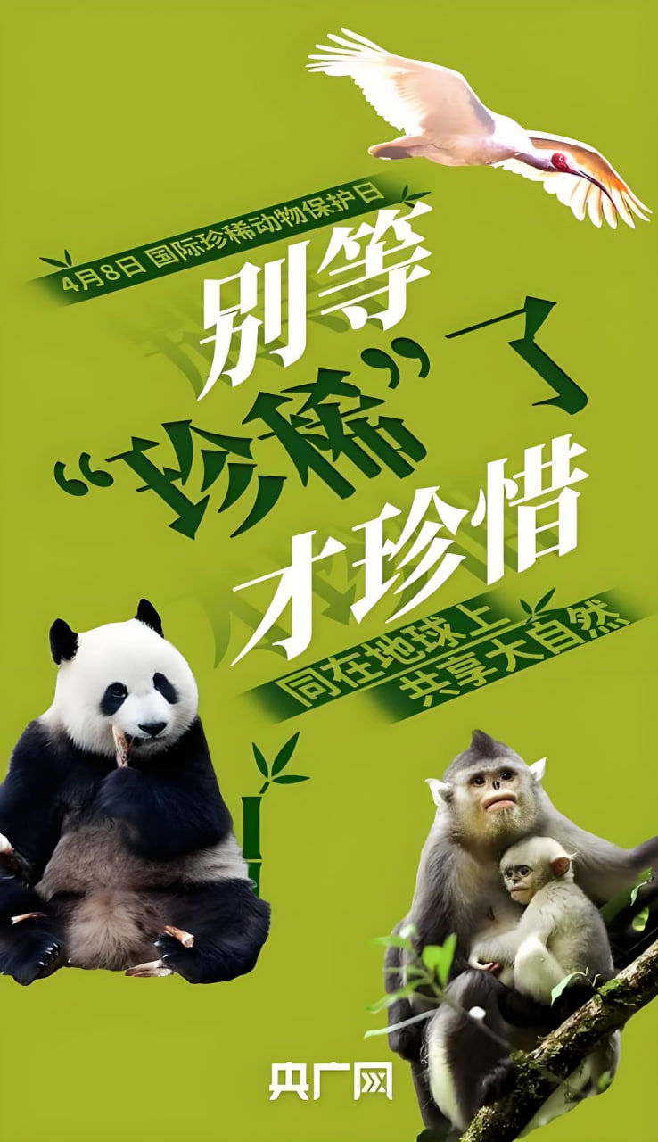 《星际迷途》